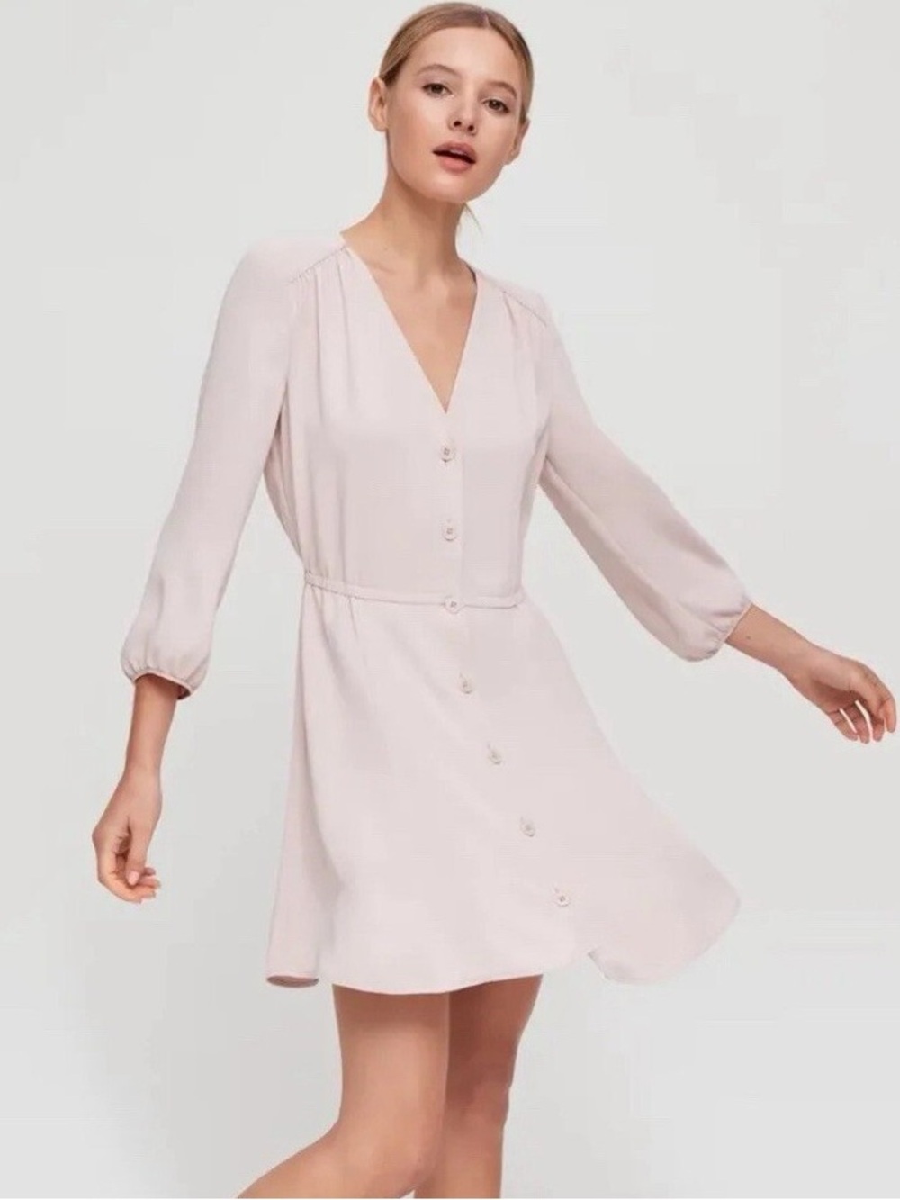Aritzia Babaton Day Dress